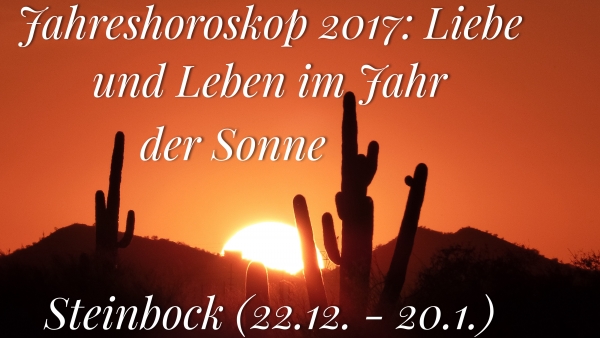 Steinbock Jahreshoroskop 2017