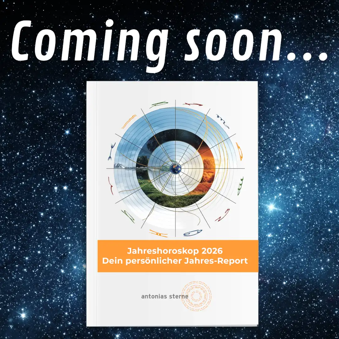 Individueller-Jahresreport-2026