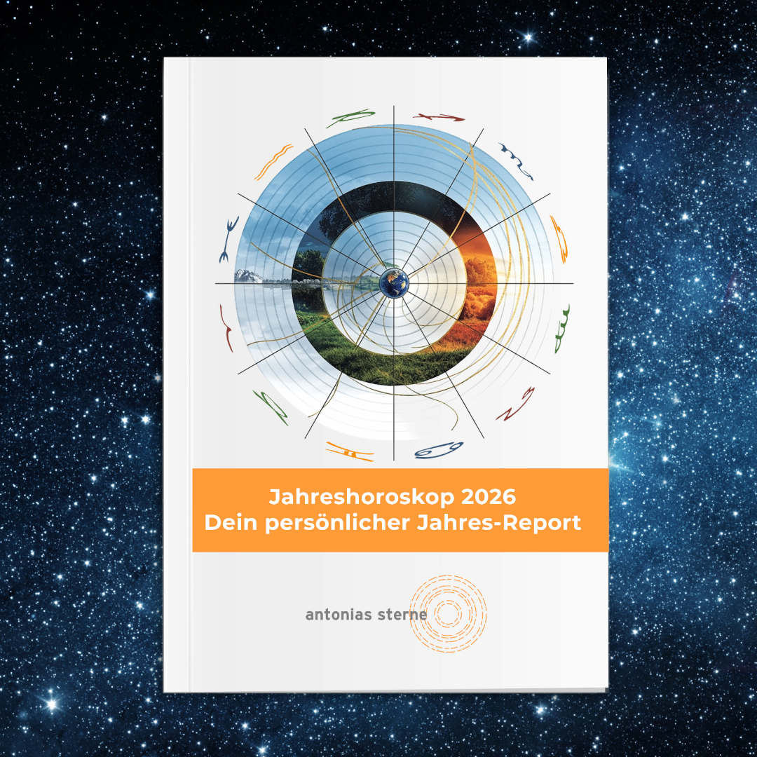 Individueller Jahresreport 2026