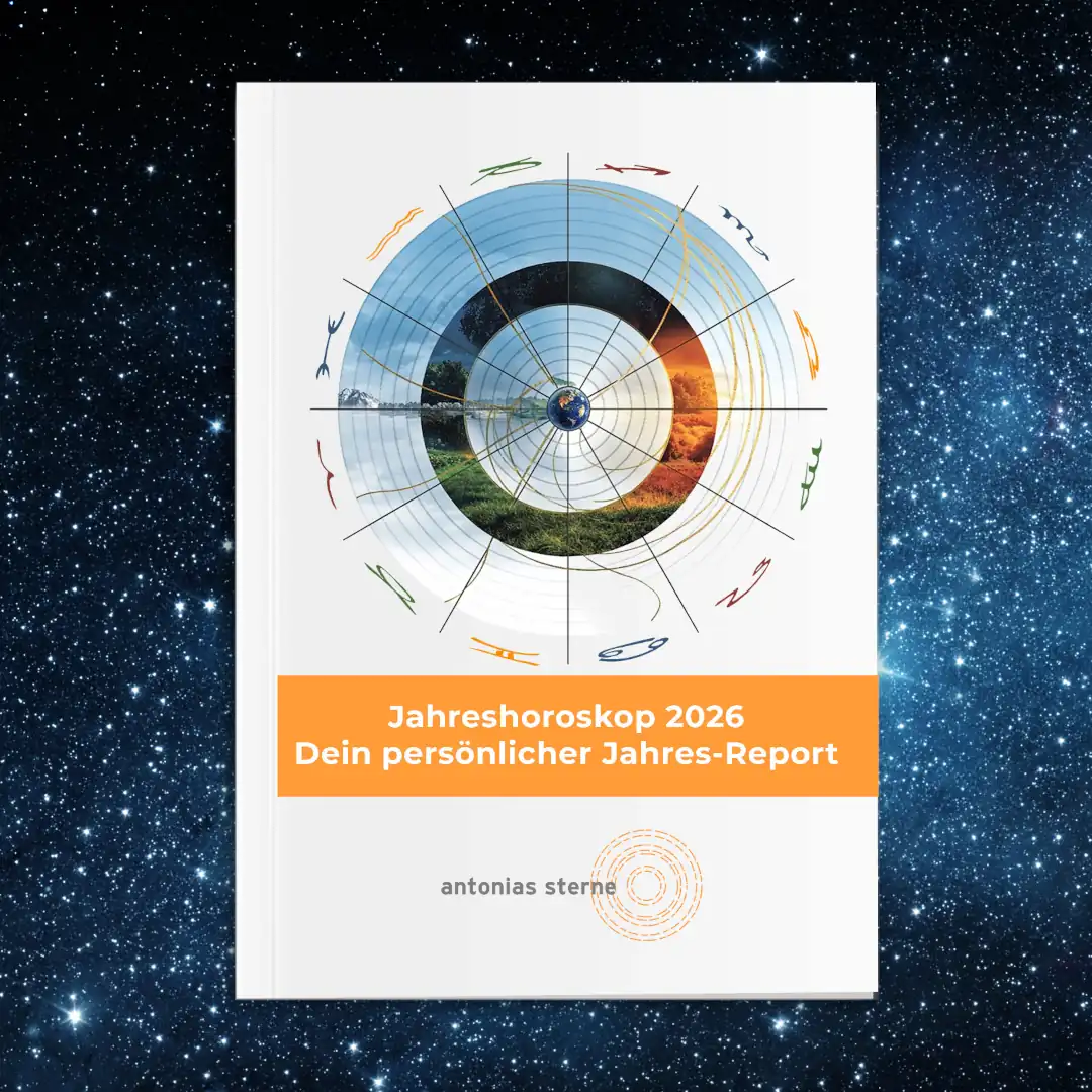 Individueller Jahresreport 2026